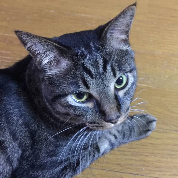 D4fc86fc aa2d 4eec 9b82 c2bdc20fce59