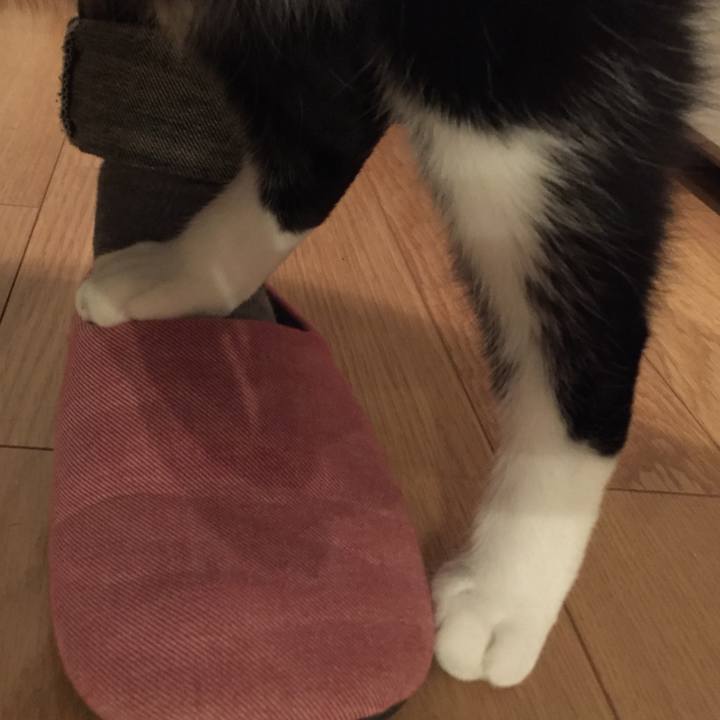 D4fce3a4 1069 487b a701 9caad7148f5c