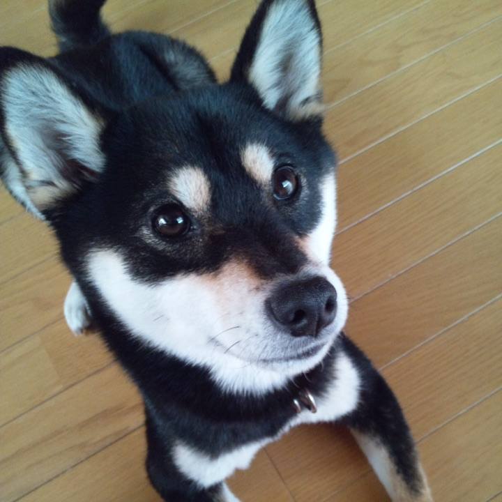 D4fd9318 2ddd 42b2 8809 9424dd9f5146