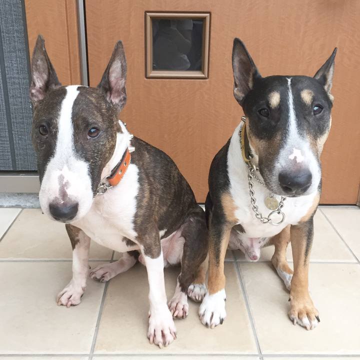 D4fdfdd7 73d9 423c af06 2234b16521e1