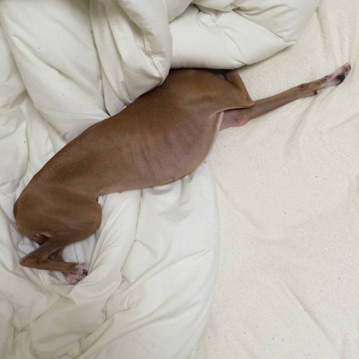 D4fe6391 591d 4f0f b451 60971b06e243