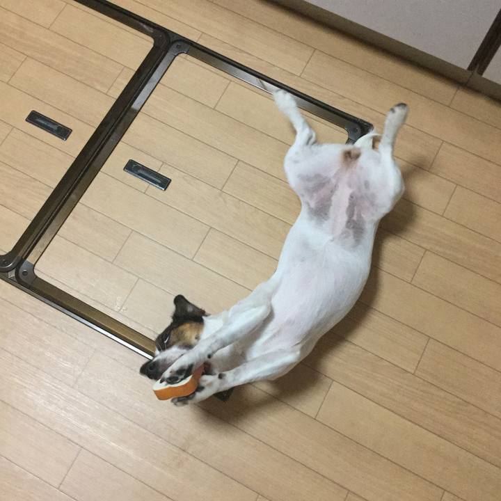 D4fec181 7139 49df bef3 0ef0511376c6