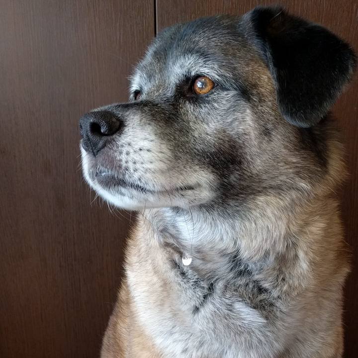 D4ff25eb 4b34 41aa be8e 7f45580a84b5