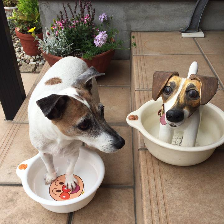 D4ff38e3 e2e9 4fae a558 89a655828cfe