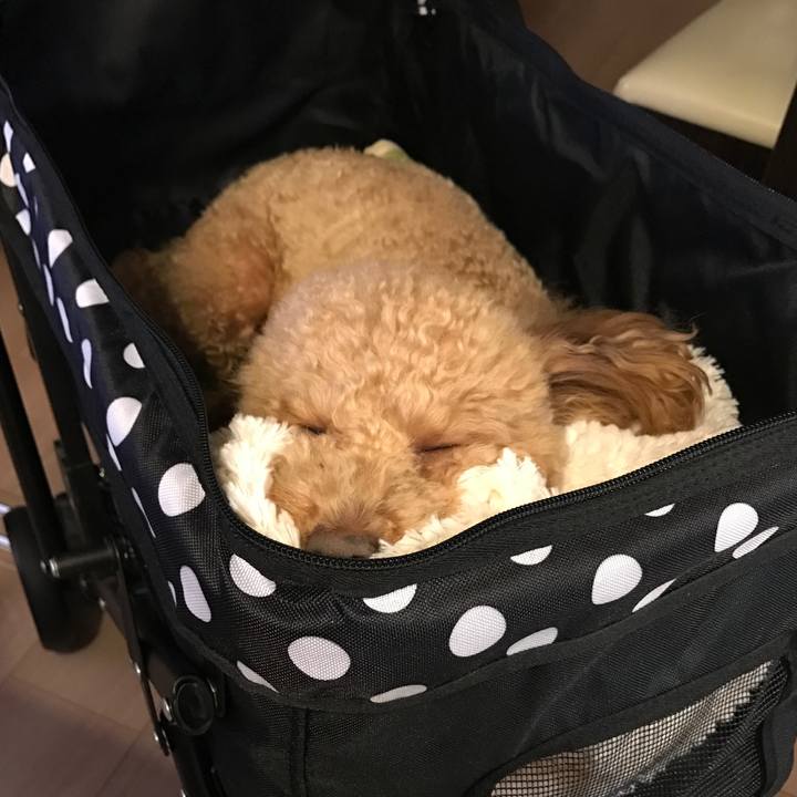 D4ffb833 c6ef 496f 96d6 758122d9a7a4