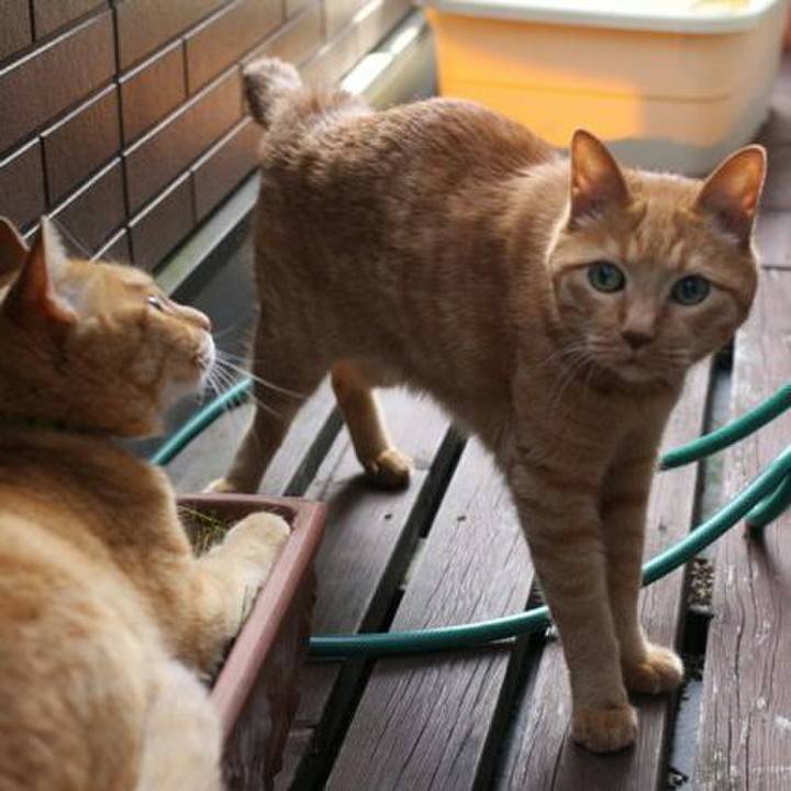 D4ffc47c 581d 431f 99c0 0cdc8dd6880c