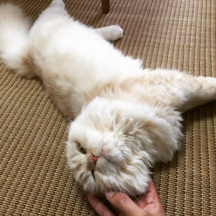 D500e073 9e56 4e01 87c5 ea1b784536db