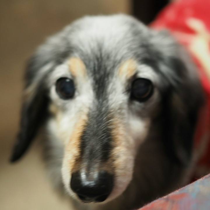 D501391c 0414 435b 92c1 6ac74b25a1d6