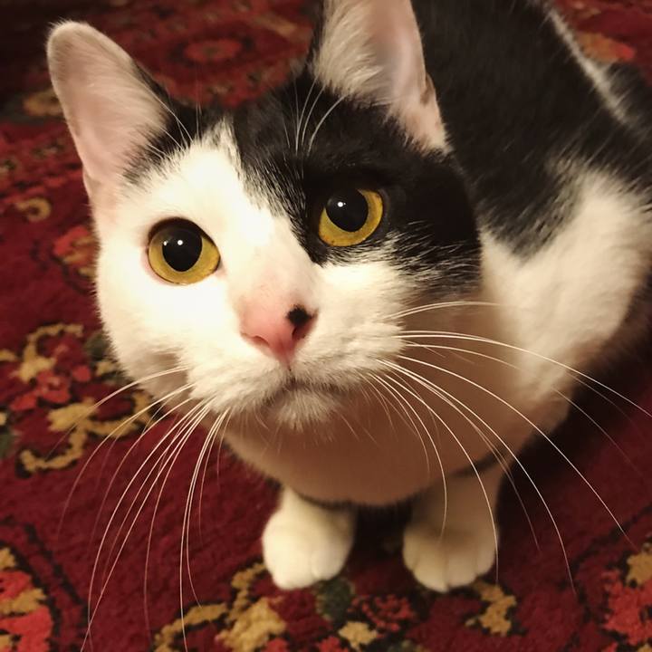 D5017339 2008 4e2c 9dfd 6aafe5b41b6f