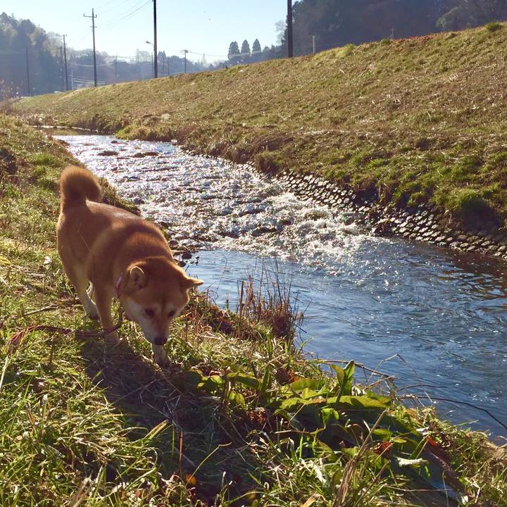 D501a029 2736 4c68 87e0 e5c952f7191d