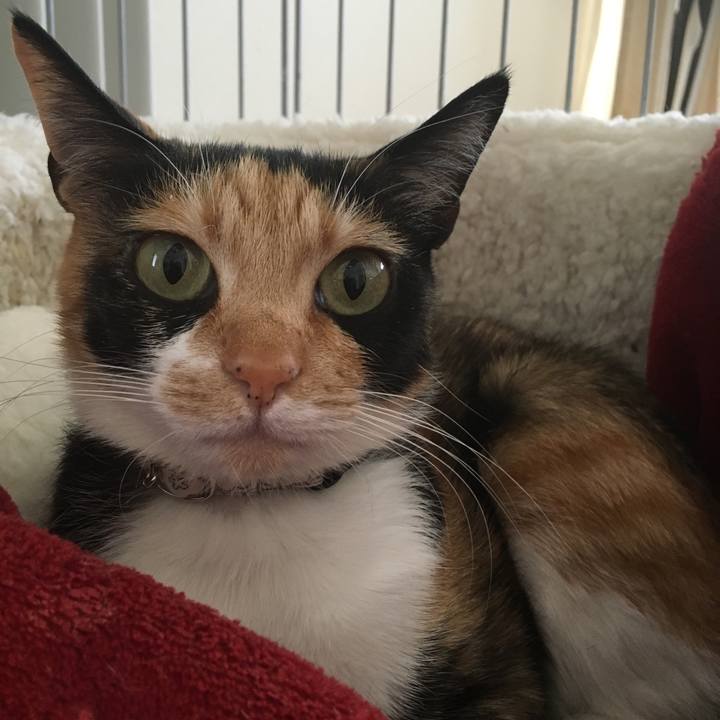 D5020db6 5a8e 482b 94bd 97c40617da0e