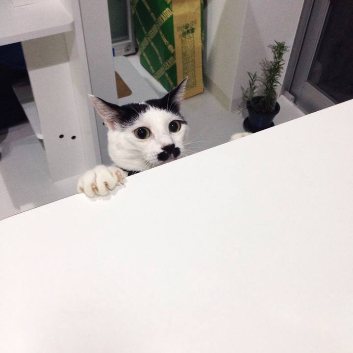 D5022696 61da 4dc9 8a79 343fbb2d8fb6