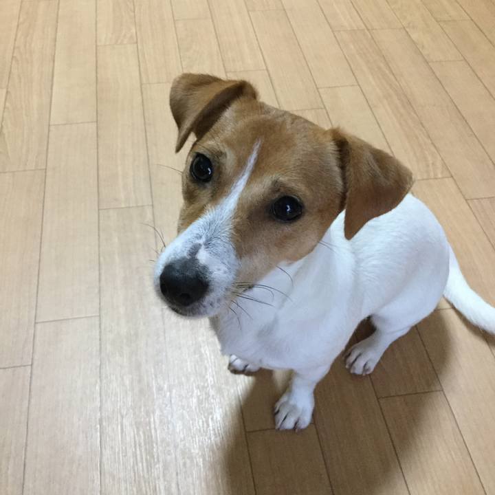 D502a247 aae8 409e 9906 f8cbc912ebcd