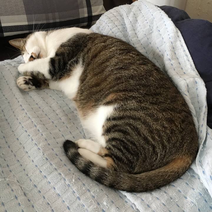 D502e0e1 d852 4b8c b5ee 8e2e392bb643