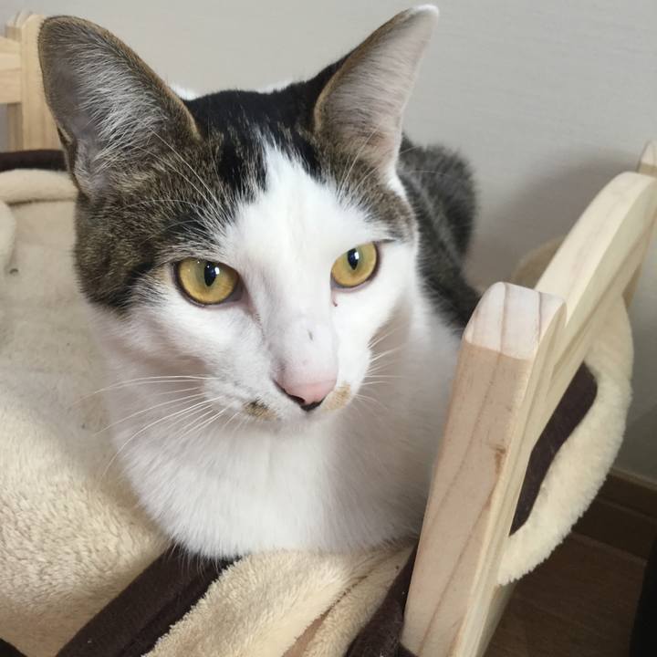 D5030084 425b 4640 9aa0 02dcd21b7ede