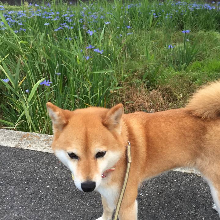 D50323e7 2b55 41db 8482 1f4fa1389b80