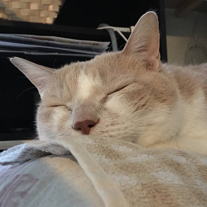 D503784e 9eeb 482d b84b 1accf8000c48