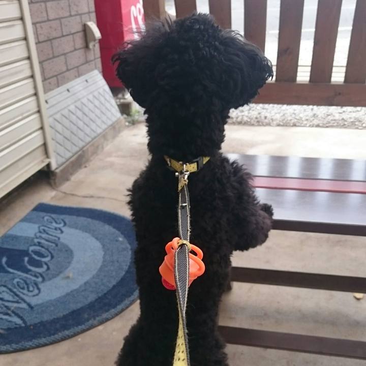 D503c1ae 0f66 446c a9f7 cb76a80c7b2b