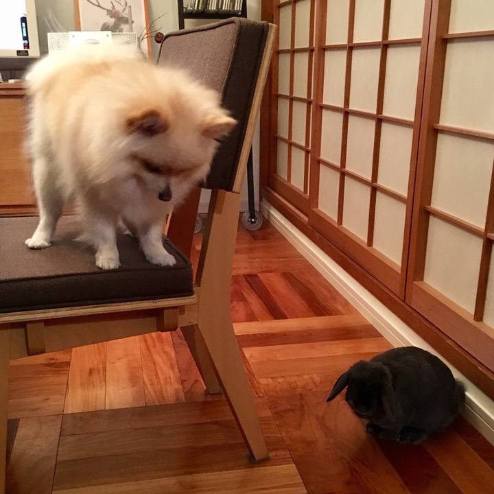 D5042d48 6f08 42b7 818f c7a5eac3dba0