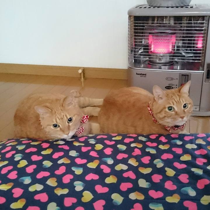 D504cb73 6c7d 4cb4 959e 54b592b80444