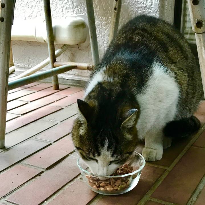 D504ff86 d24c 40f1 bf7b 14f72fb9901d