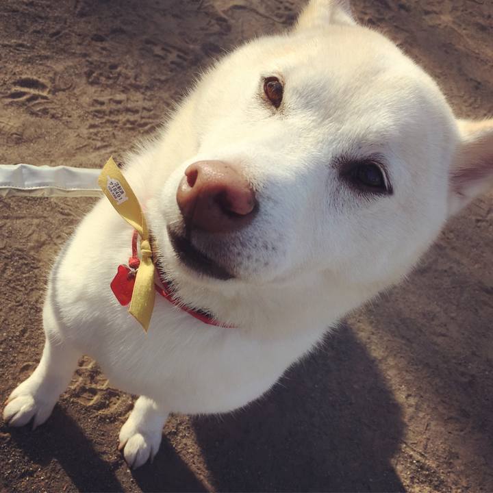 D5052a97 0db6 4a29 b570 612048ce9980