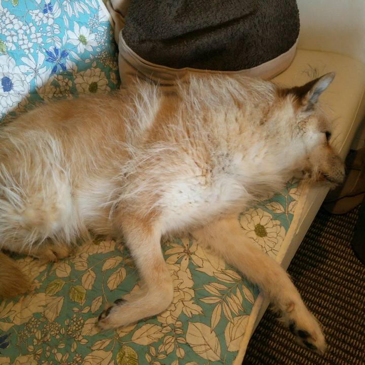 D505a889 d0e2 4d7b b9bb 06d0ab3e850d