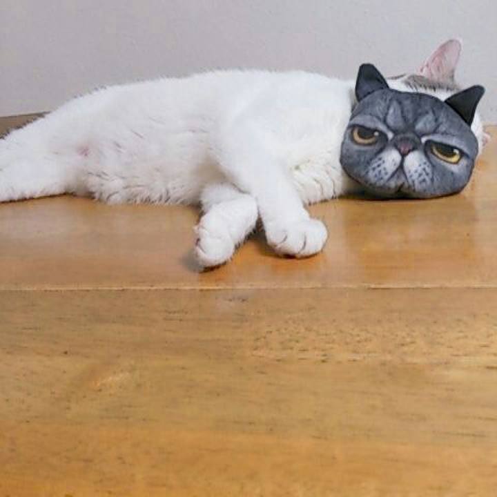 D505a96e 71aa 4022 bf0f 12520fa3f61f