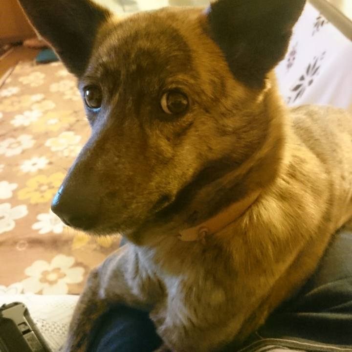 D50657ac deeb 4c16 bd62 e26335bcb047