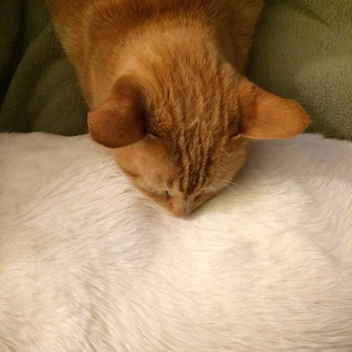 D507442e ea9d 4d62 90ef 0f91478f79d0