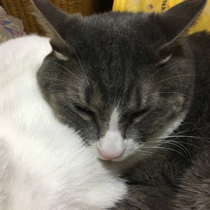 D5075b45 1f92 4327 9fe5 dda27a124d8d