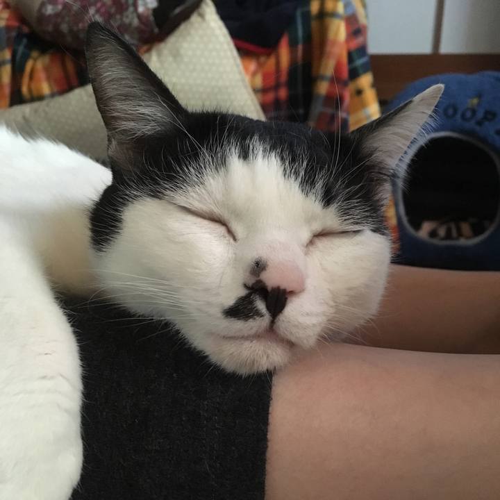 D50837bd cadc 4103 82c3 01038abd807d