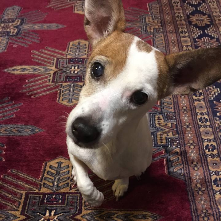 D50840bd d1f3 4dcf a716 5345f963fd03