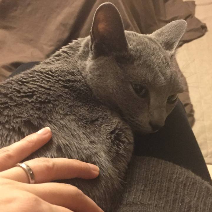 D5084bfe 9260 4db0 a9a0 1f5b660fca7c