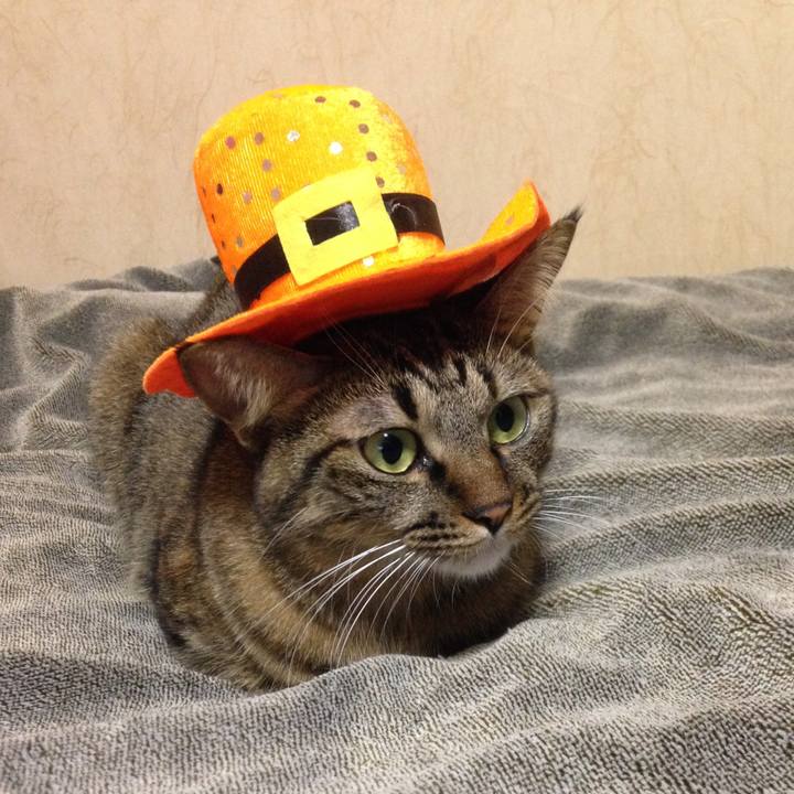 D509113f 4e87 4edc ac8e 9d238703cf61