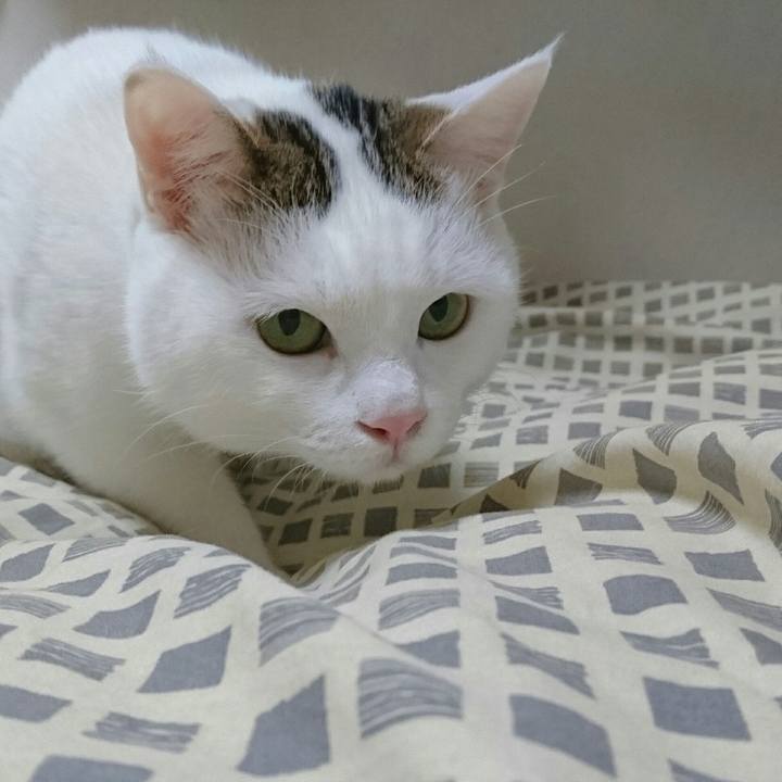 D509a0bb a15e 4619 8236 884a29f586f1