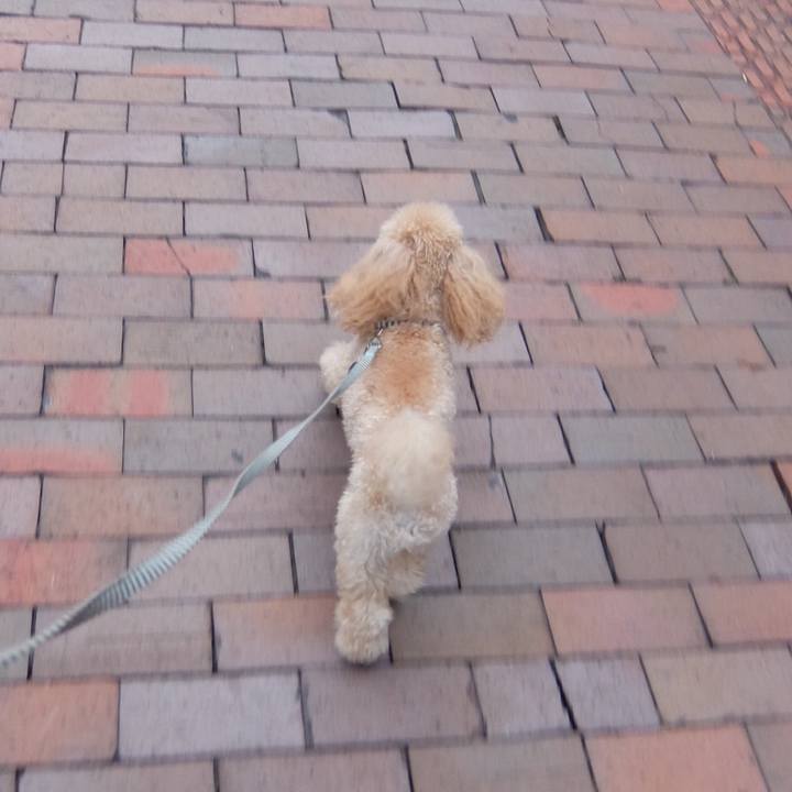 D509d29c d6a5 40ef a047 5ec743999dbd