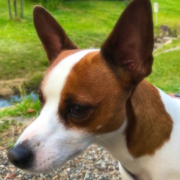 D50aba7b 30ec 4be1 befd 0ff61429bdb6