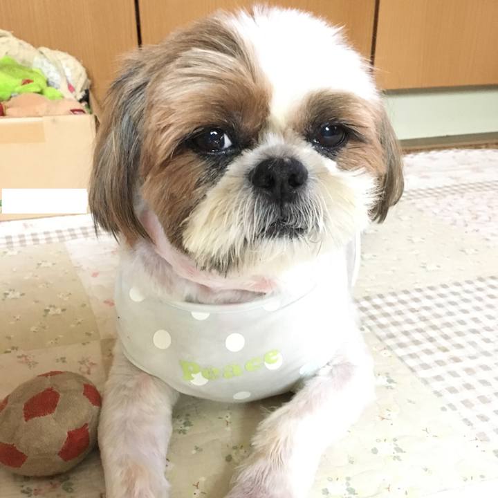 D50b27c4 940c 4c19 91aa 1c942cc969f8