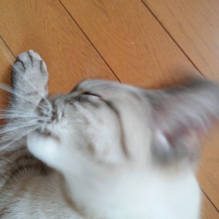 D50bd613 519e 4ff8 b979 c5408139f577