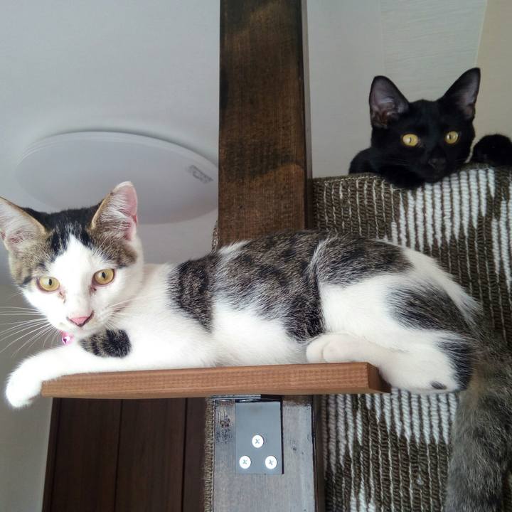 D50c1b4a 056d 46e0 85ad 35263be1d910