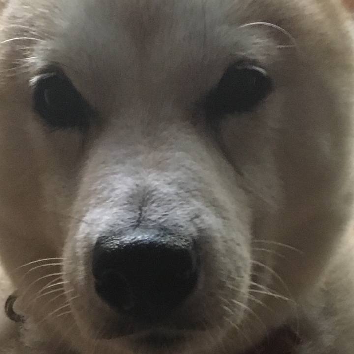 D50d4e4e 4af0 4572 8060 ba8dbe202e3a