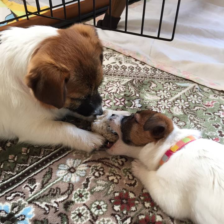 D50d6eae 0da2 4927 9701 dab6ddc963ef