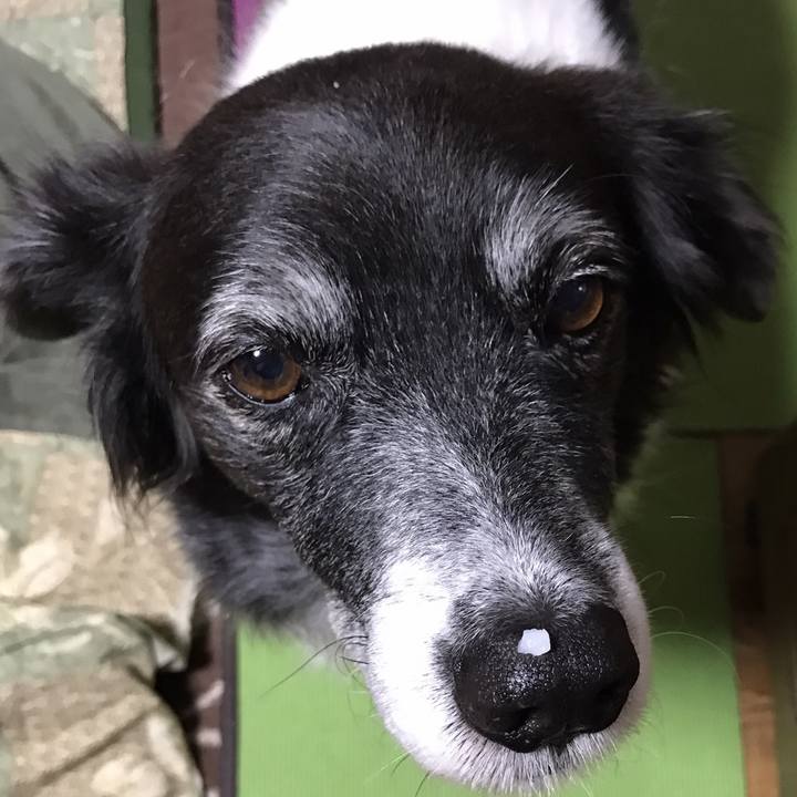 D50d812e 23b5 4e05 9fe2 cd190a48e3c6