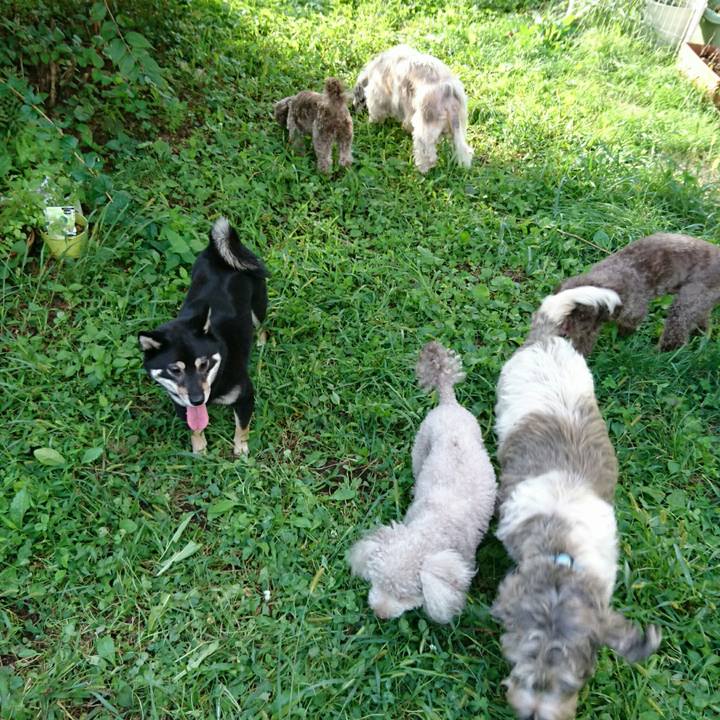 D50ef37e 9625 4d41 9503 c4ac78e0773f