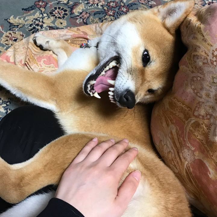 D50f95e7 1047 4fc3 aab7 6bd24beef5bd