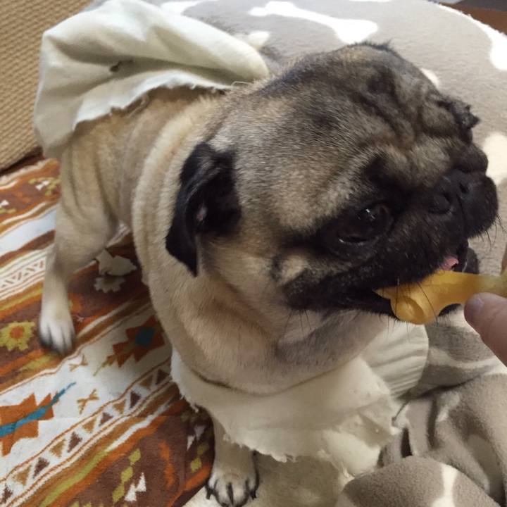 D50fc985 c776 4108 bd4b f95dbc698652