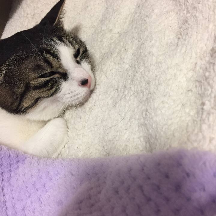 D50fcef3 8e01 476e a88e 91c33e78e600