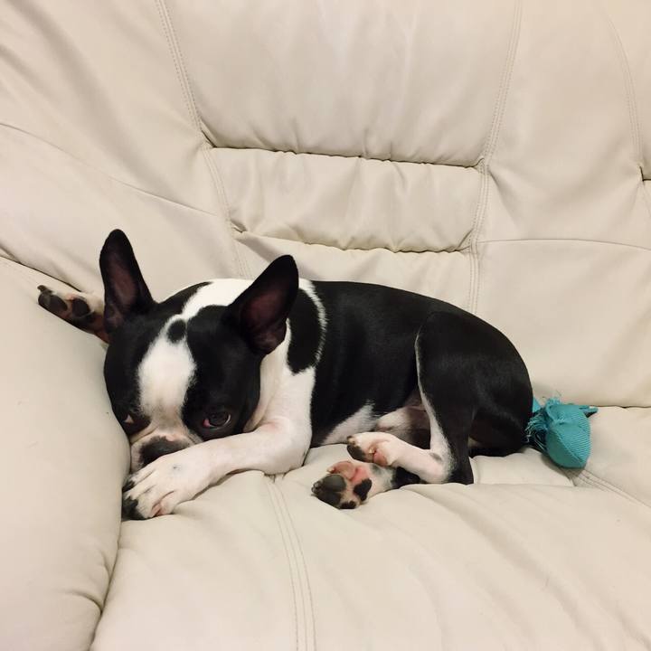 D50ff8f2 e39b 4702 ac54 9b436b21ca9f