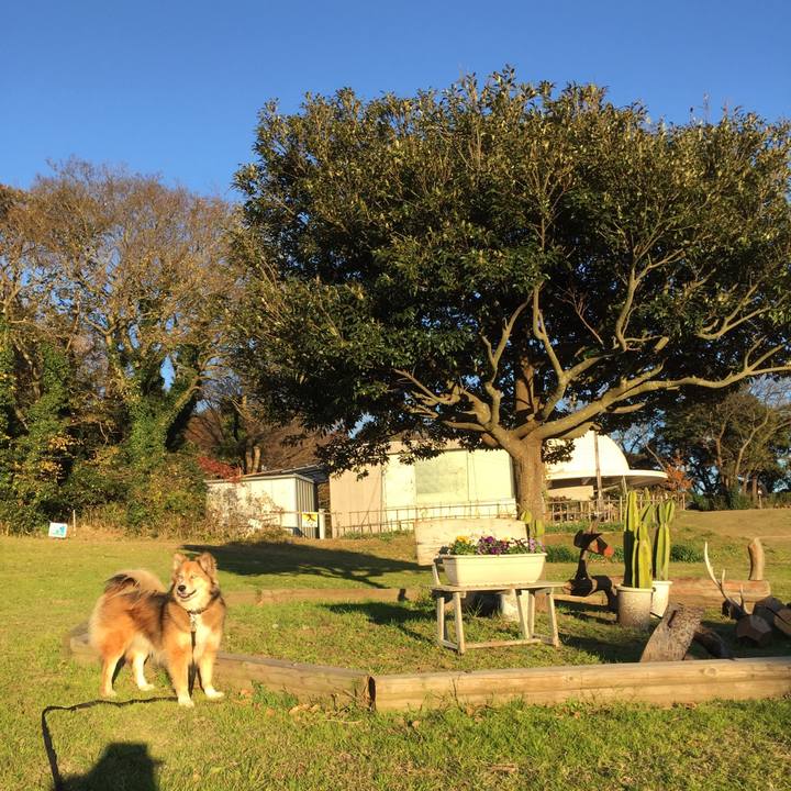 D5103233 54c3 41fd ab1f 9974c737ea29